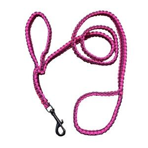 4' Paracord Dog Leash 2-Handle - Standard Leash with Traffic Hold